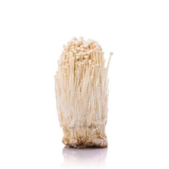 ENOKI – penízovka sametonohá - 90 rostlinných kapslí